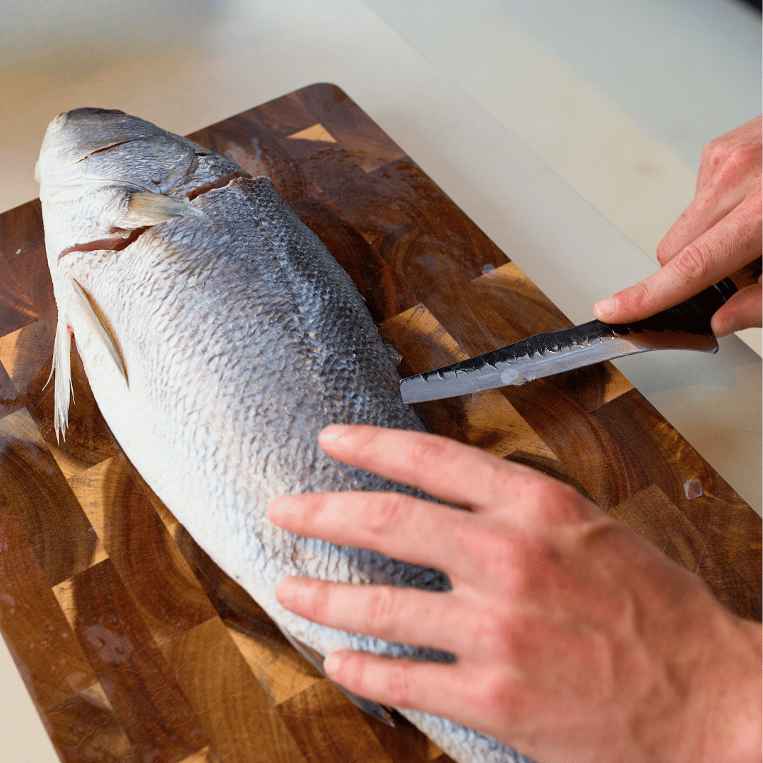The Backbone – 7" Fillet Knife
