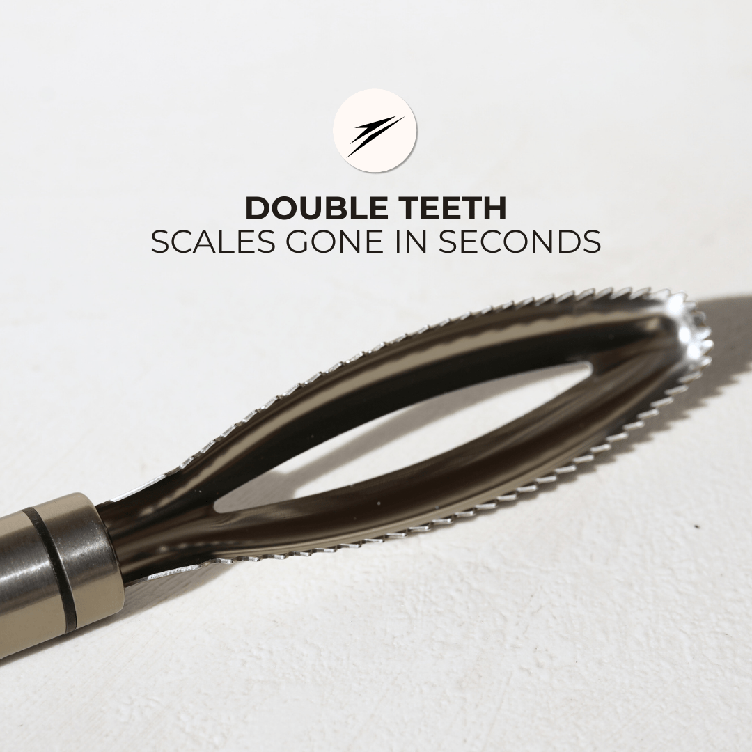 The Scaler – Fish Scale Remover