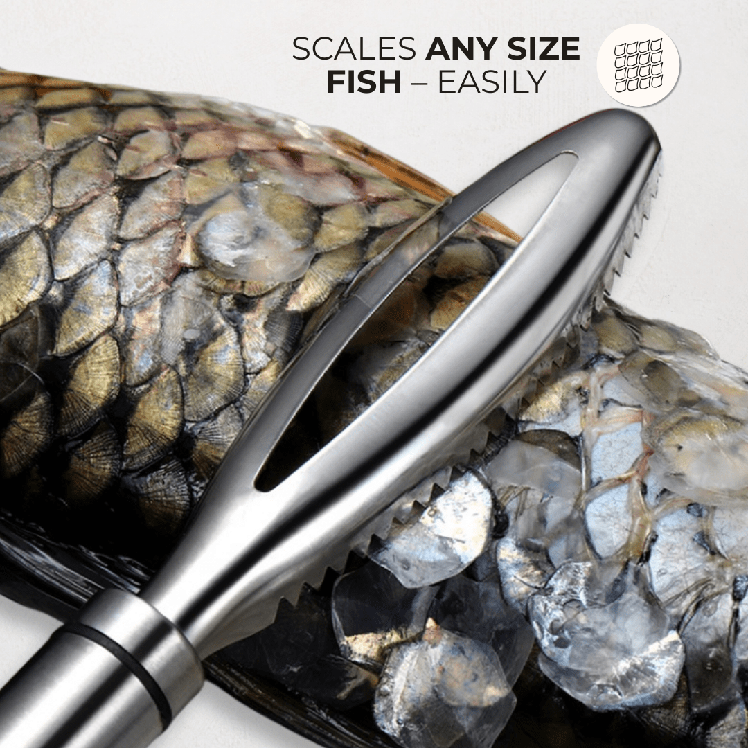 The Scaler – Fish Scale Remover