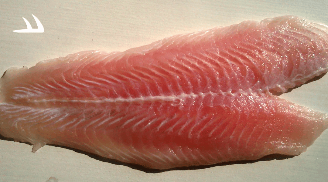 How To Fillet A Fish In 6 Steps - Short And Easy Guide