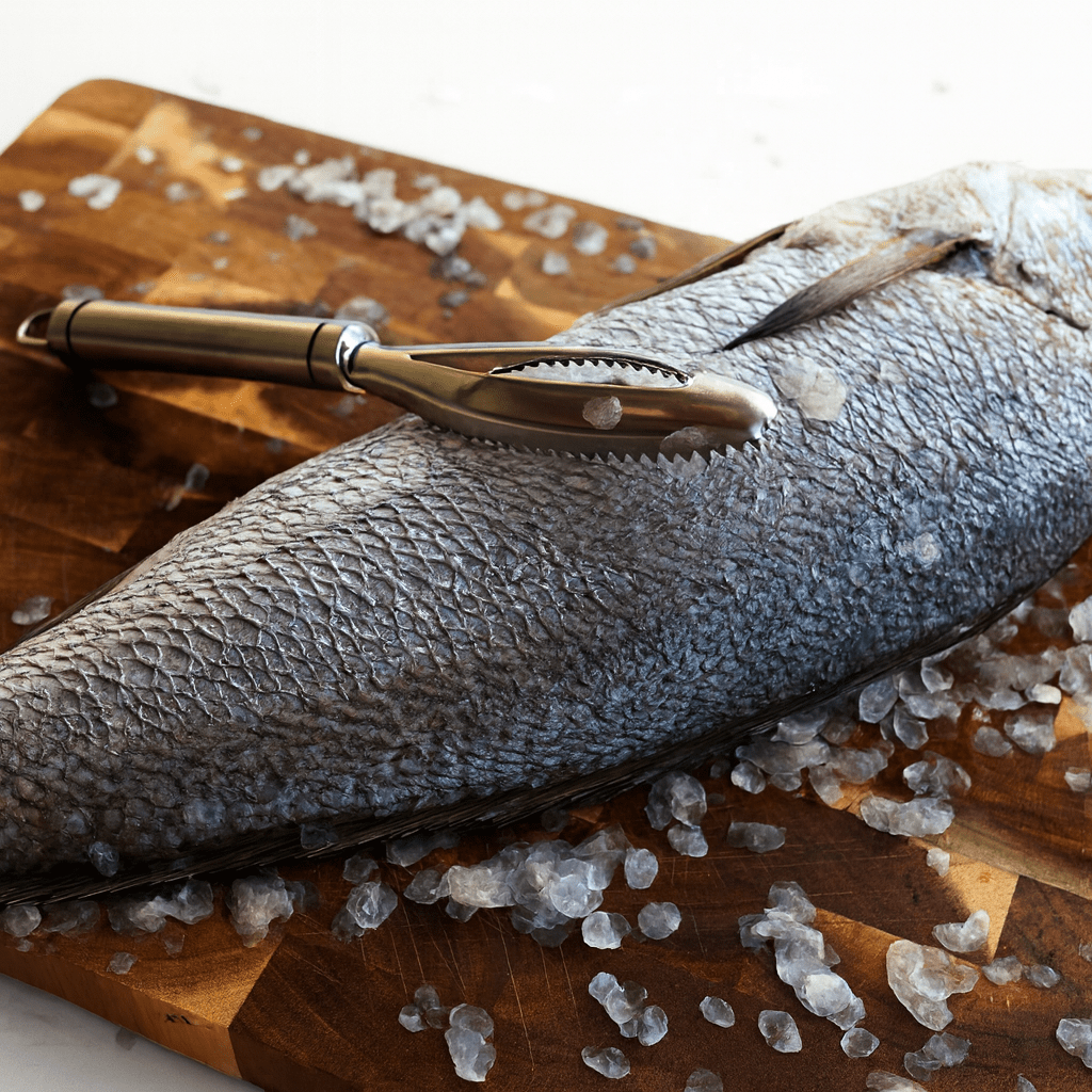 The Scaler – Fish Scale Remover